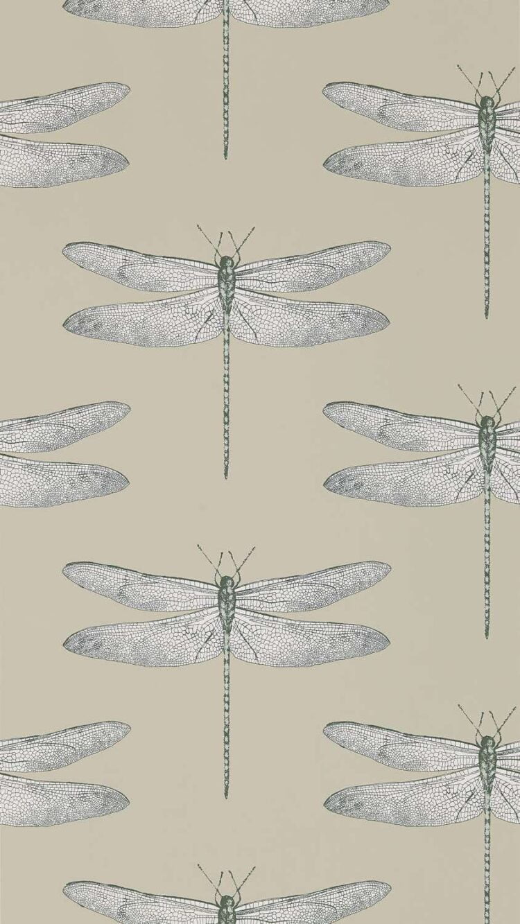Harlequin Colour Wallpapers Demoiselle - Image 2