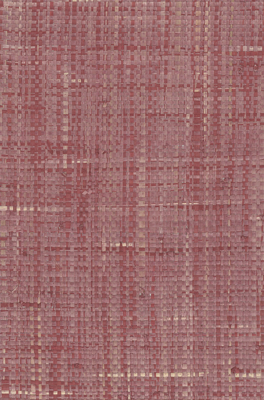 N158NG5017
