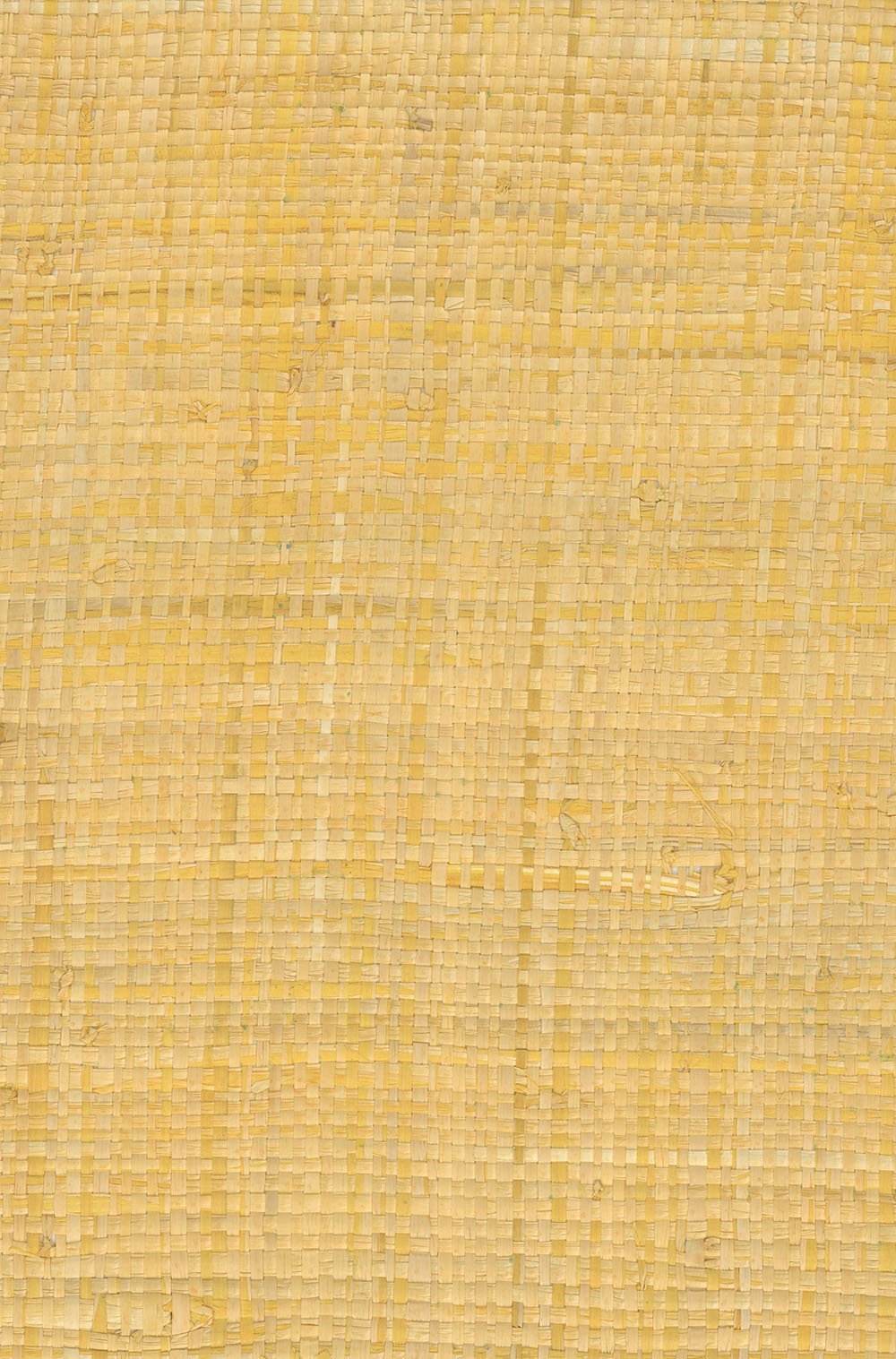 N158NG5024