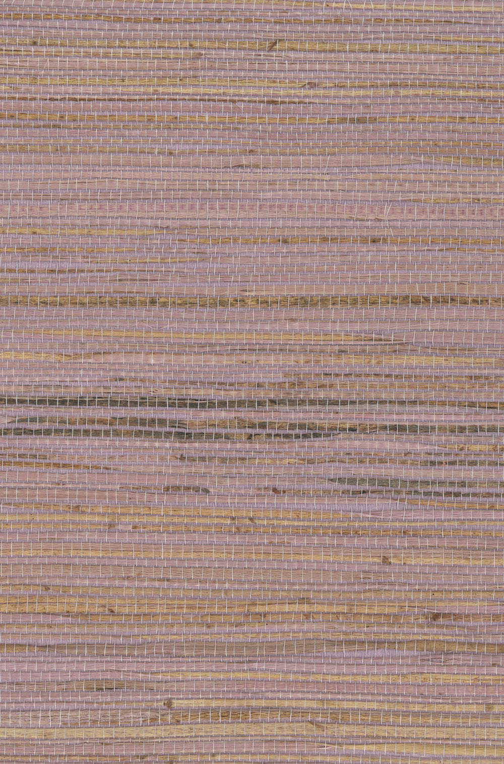 N158NH1036