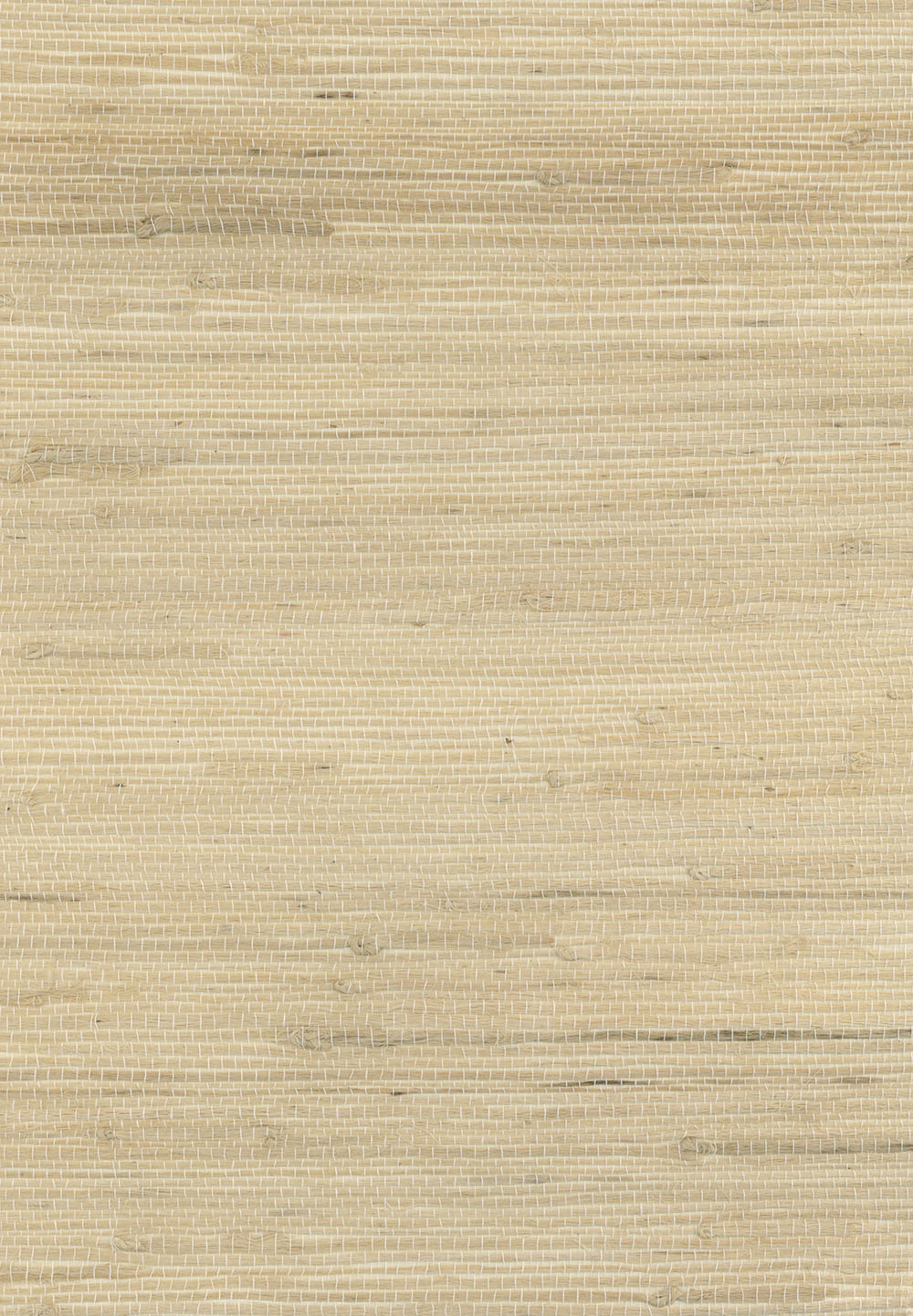 N158NH2041