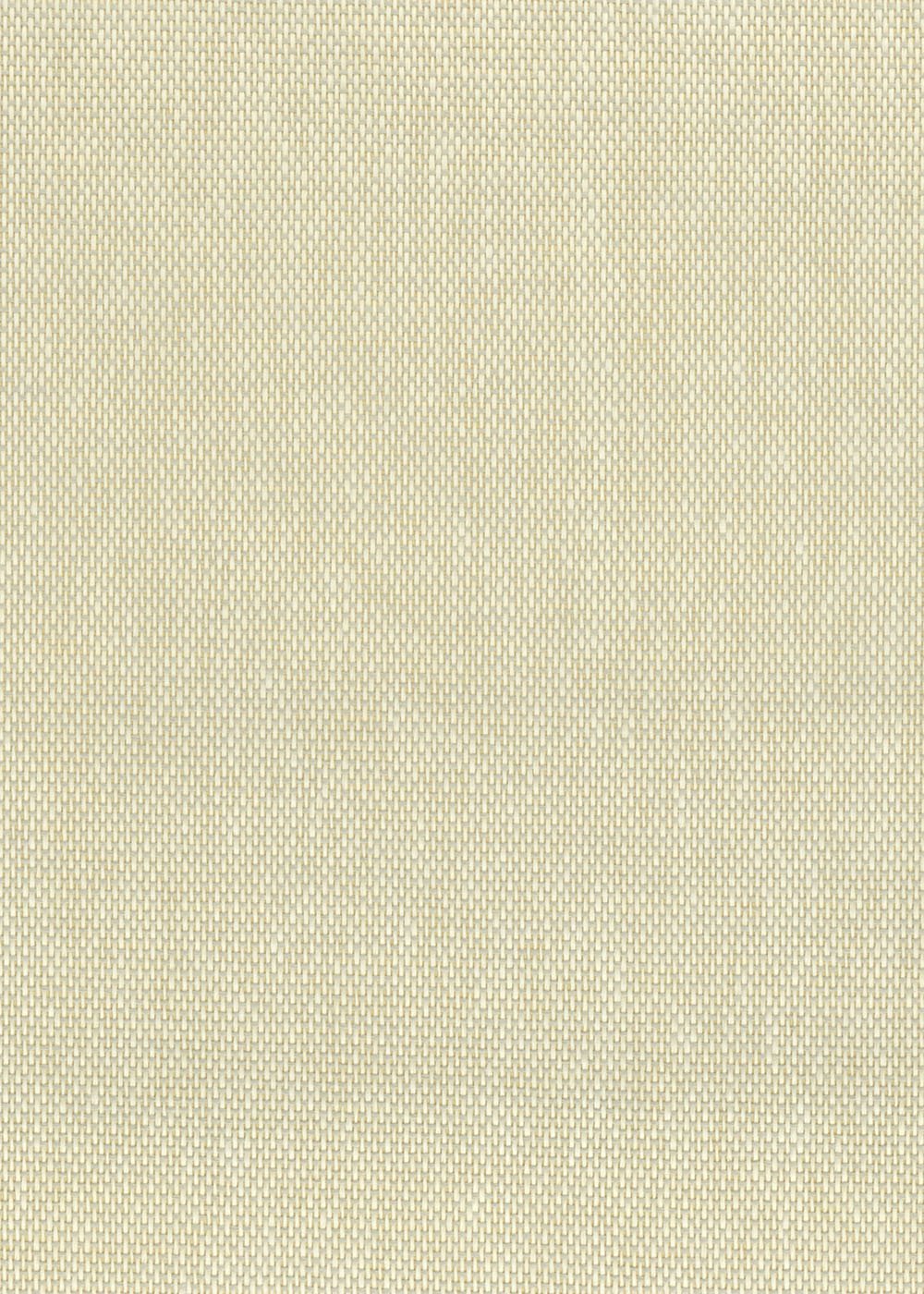 N158NP6001
