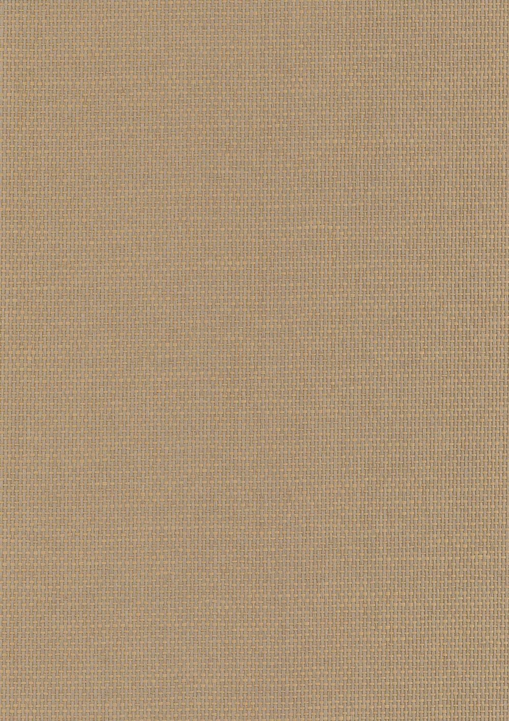 N158NP6004