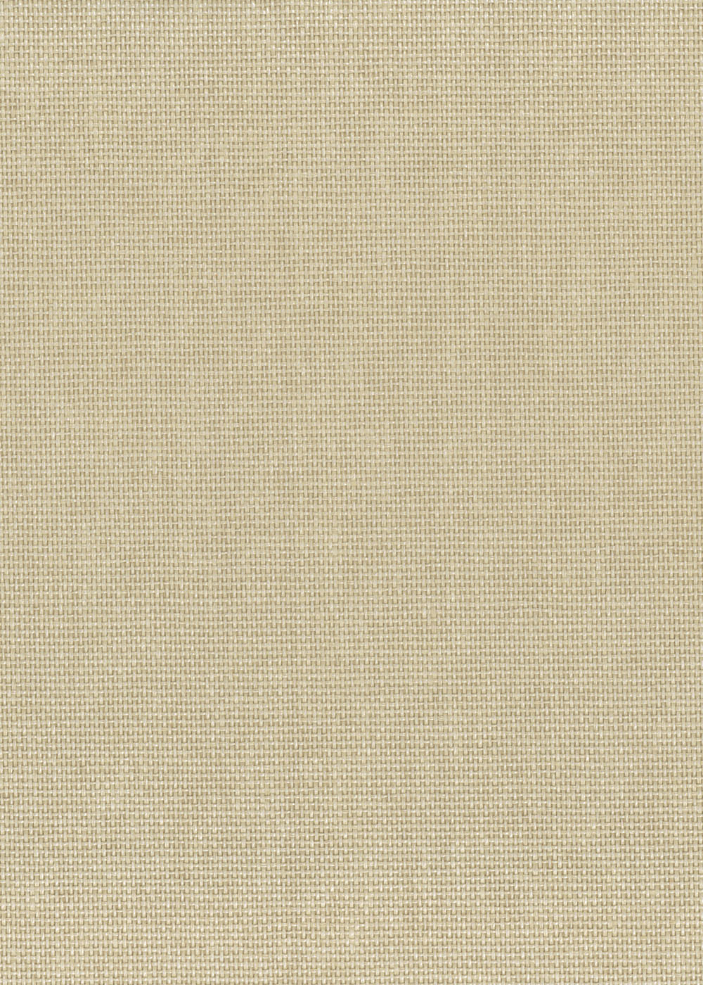 N158NP6005
