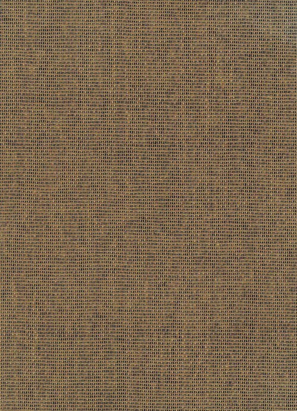 N158NP6019