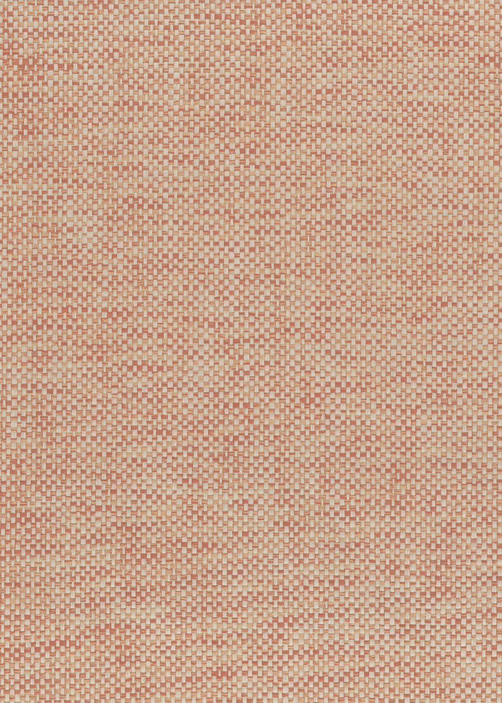 N158NP6061