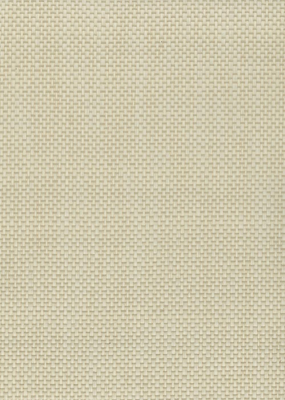 N158NP6104