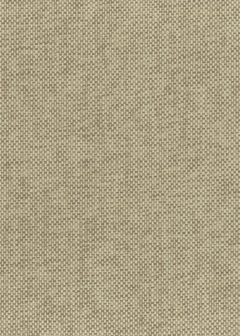 N158NP6113