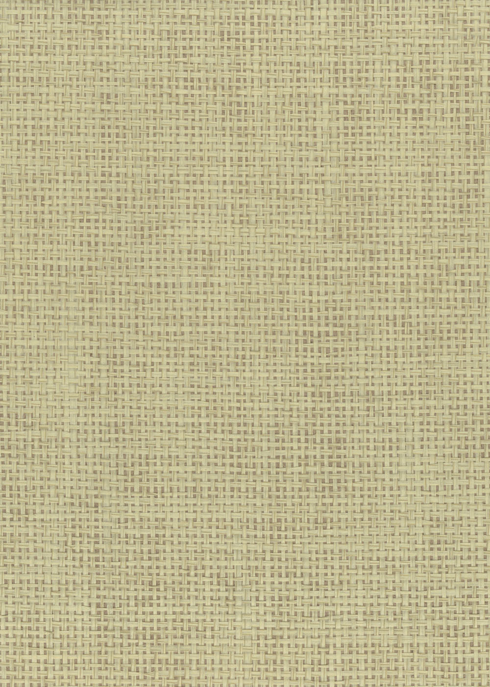 N158NP6121