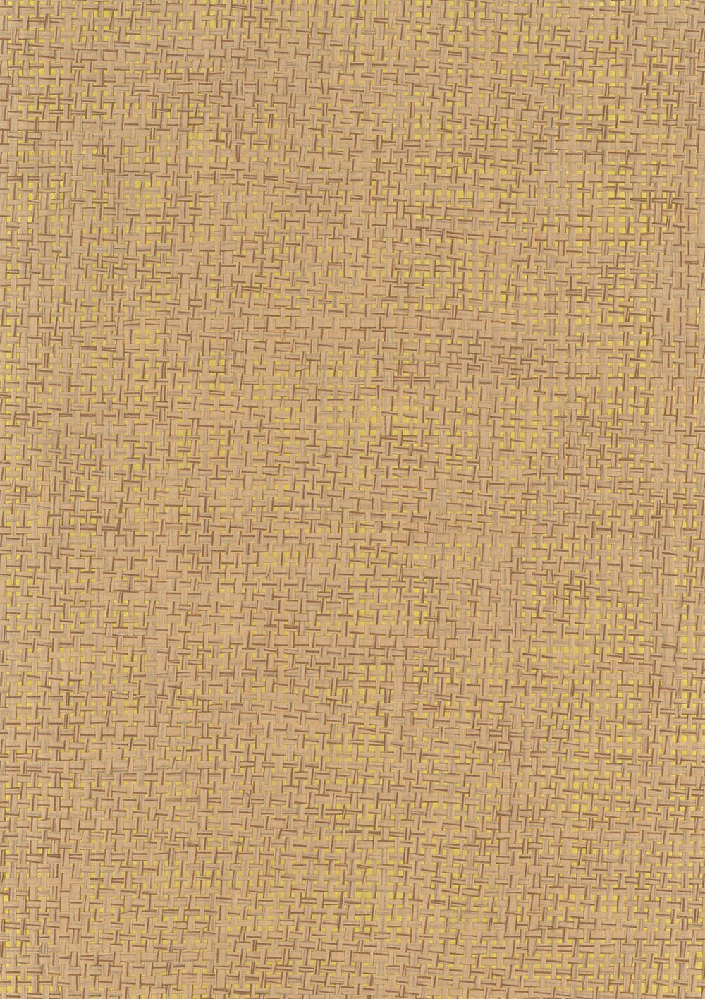 N158NP6538