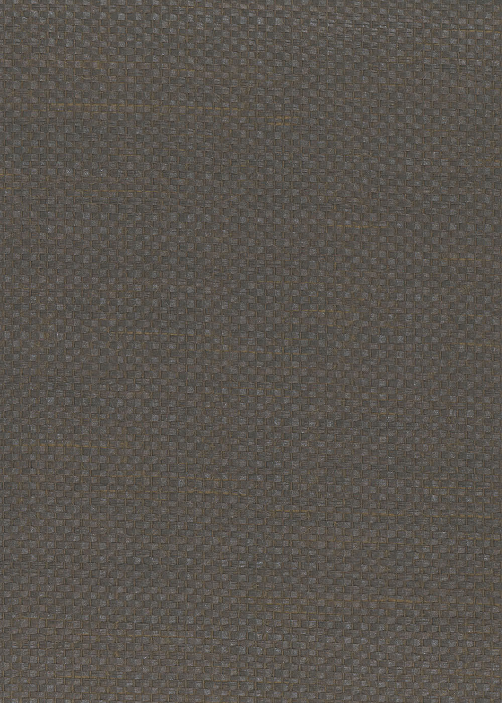 N158NP8004