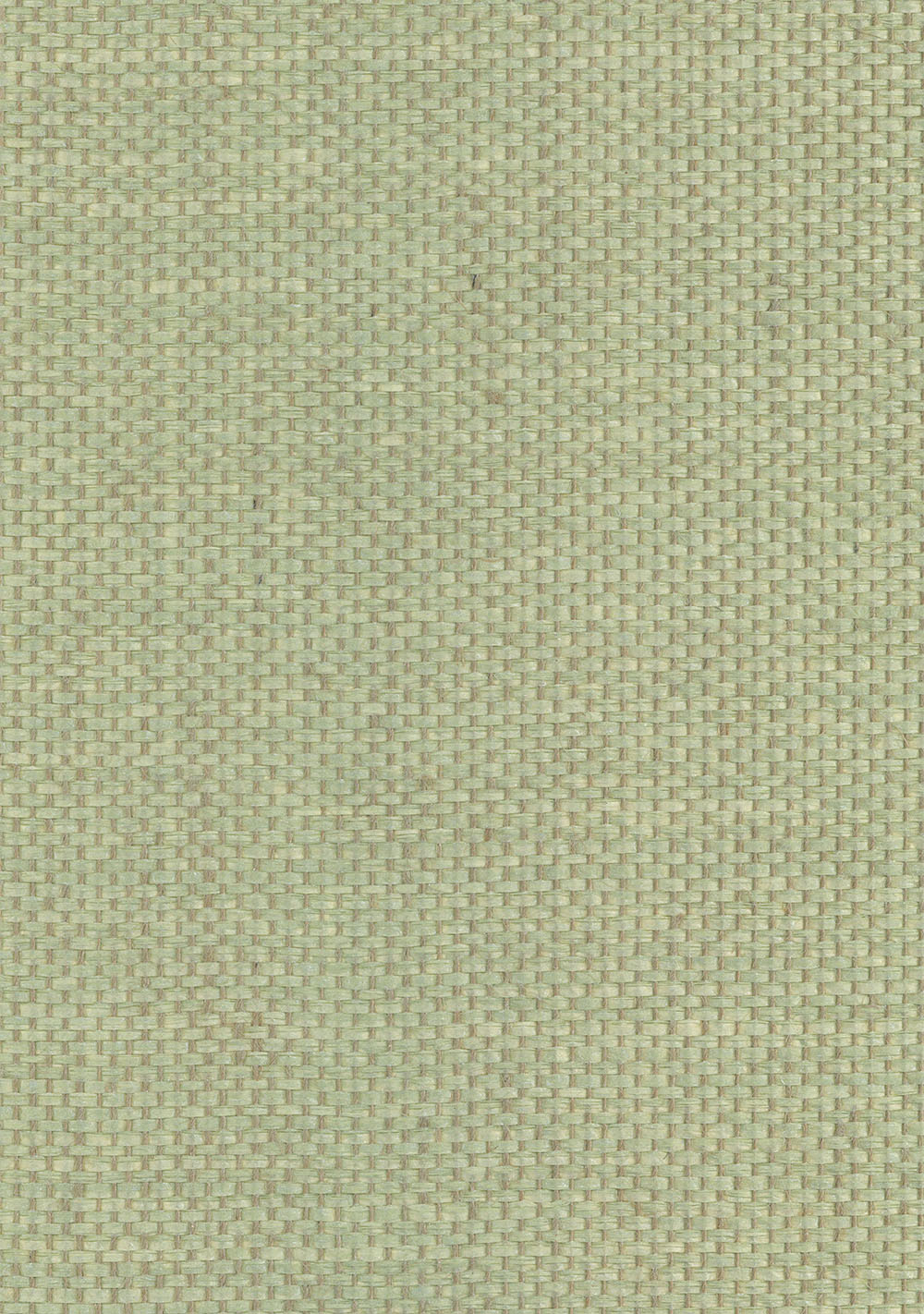N158NP8008