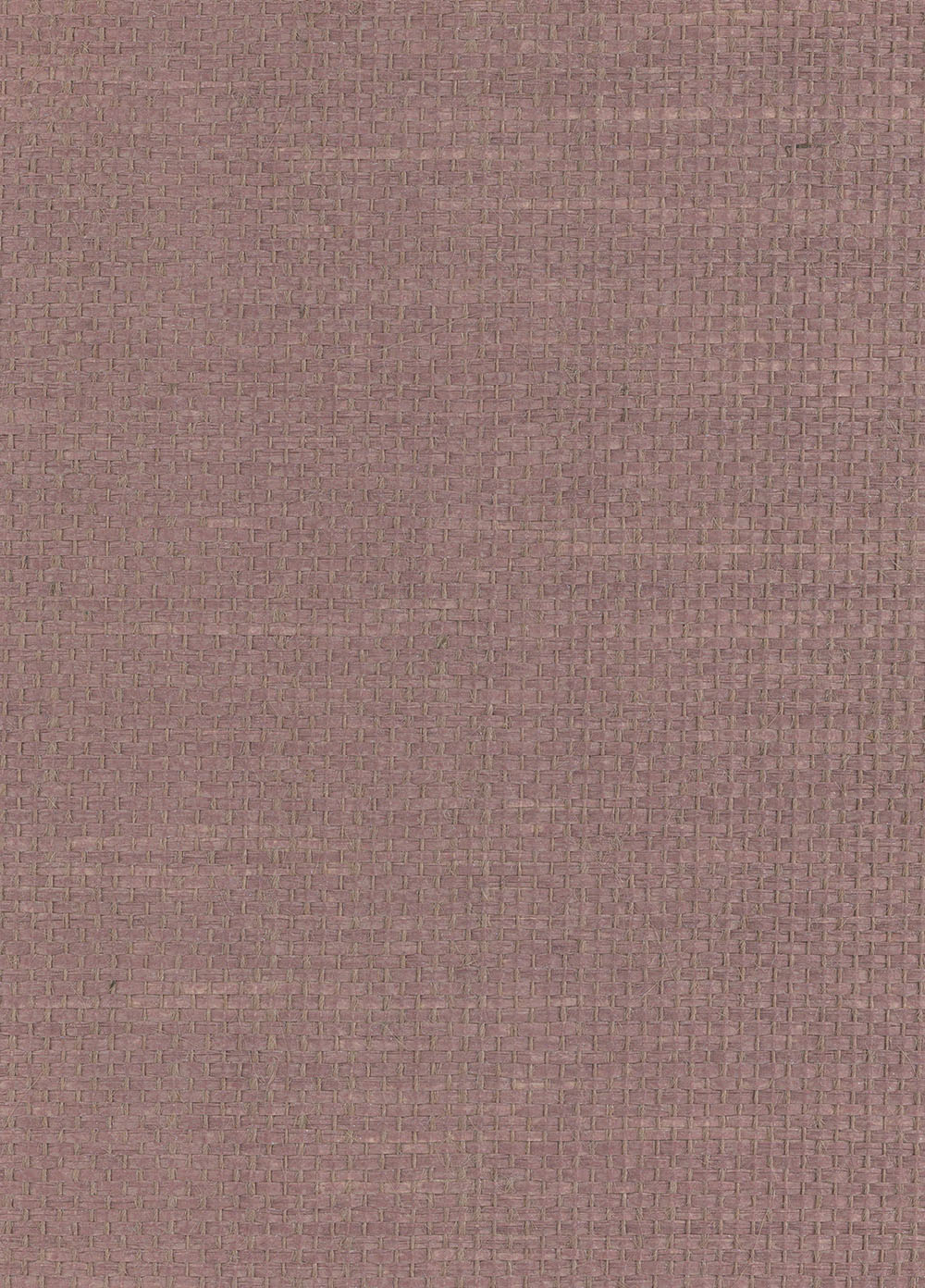 N158NP8013