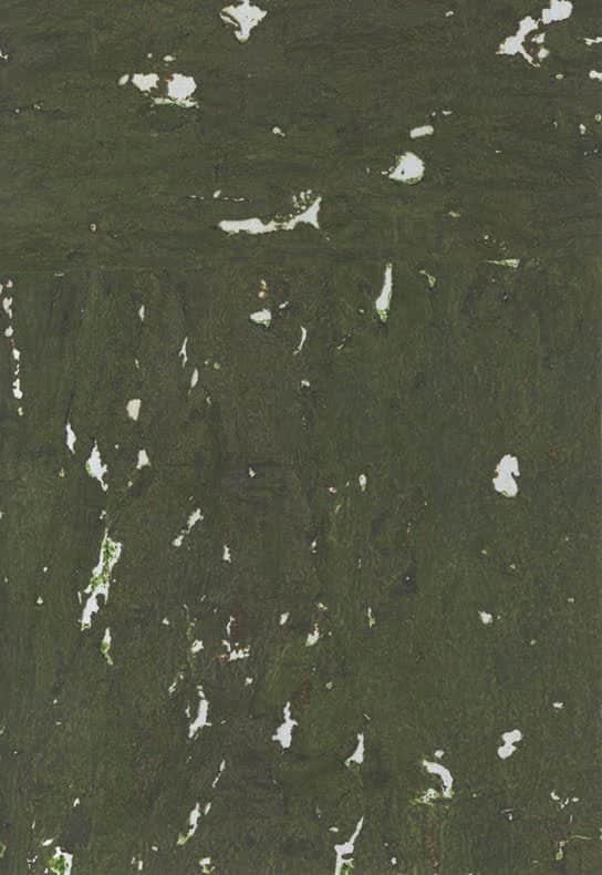 N158NQ8313