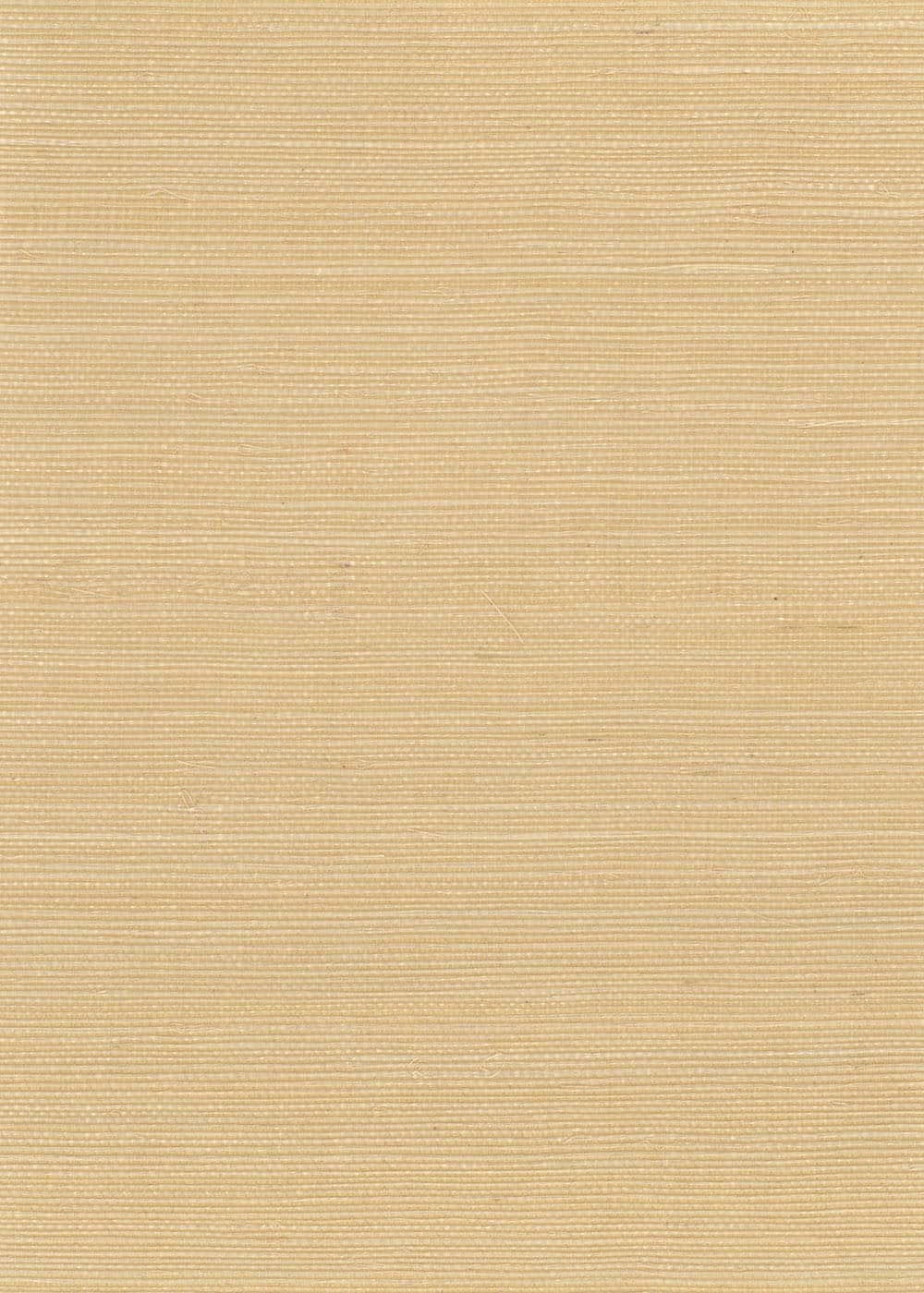 N158NS1039