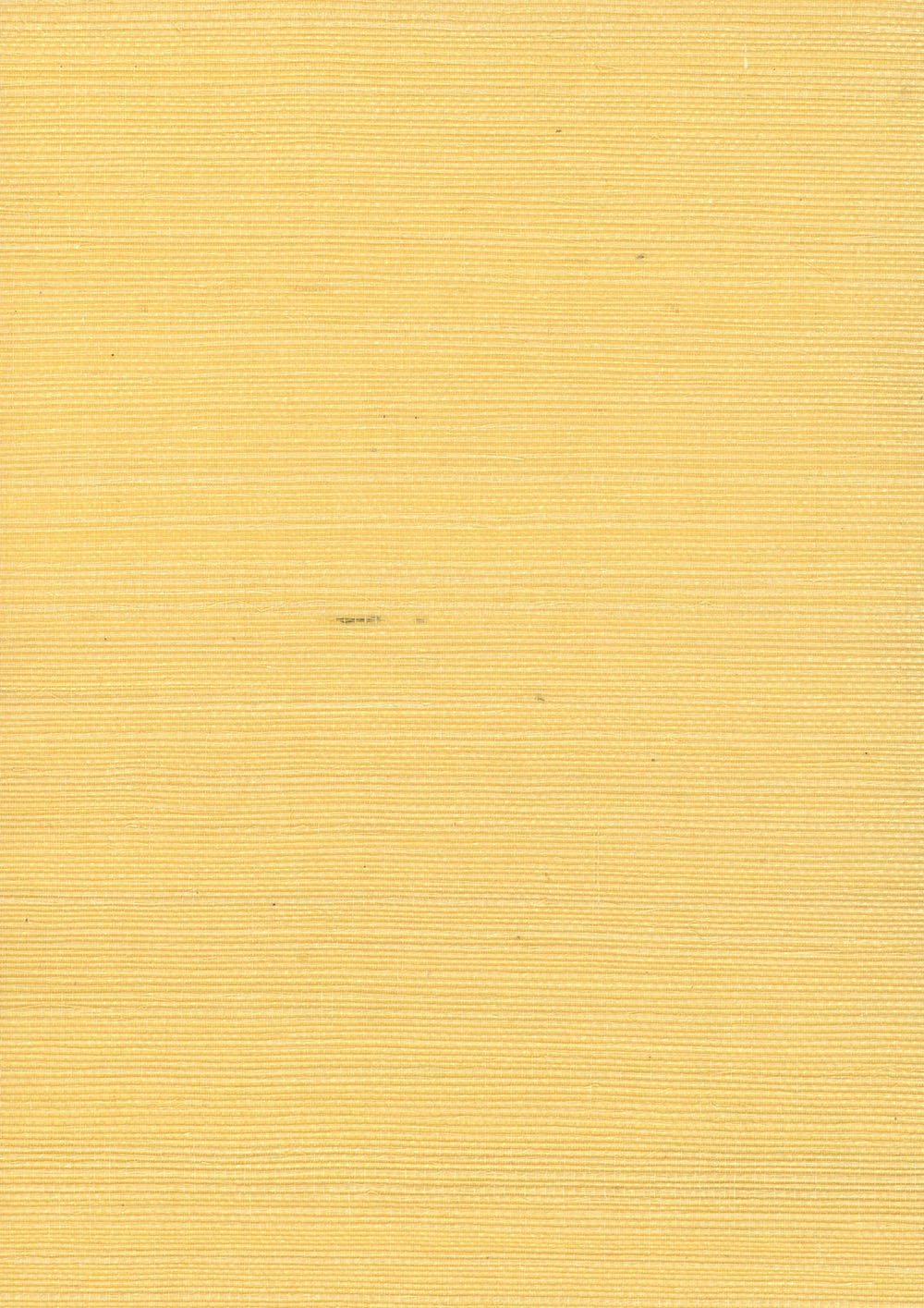 N158NS1121