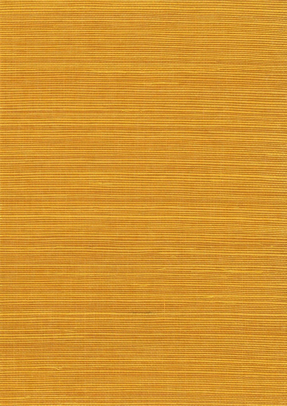 N158NS1135