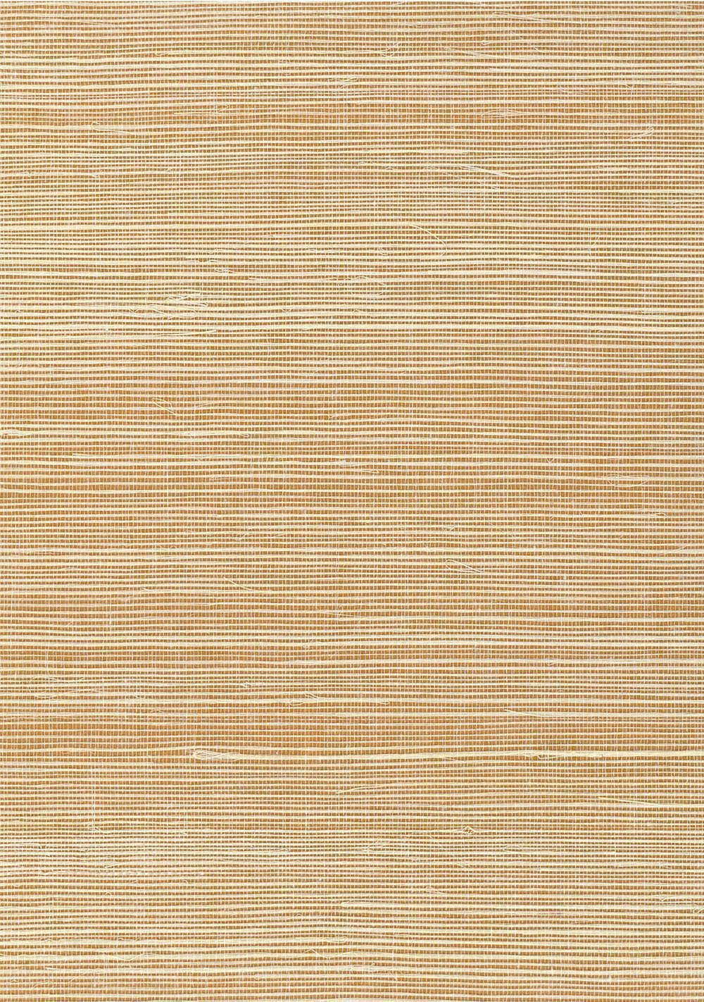 N158NS1148