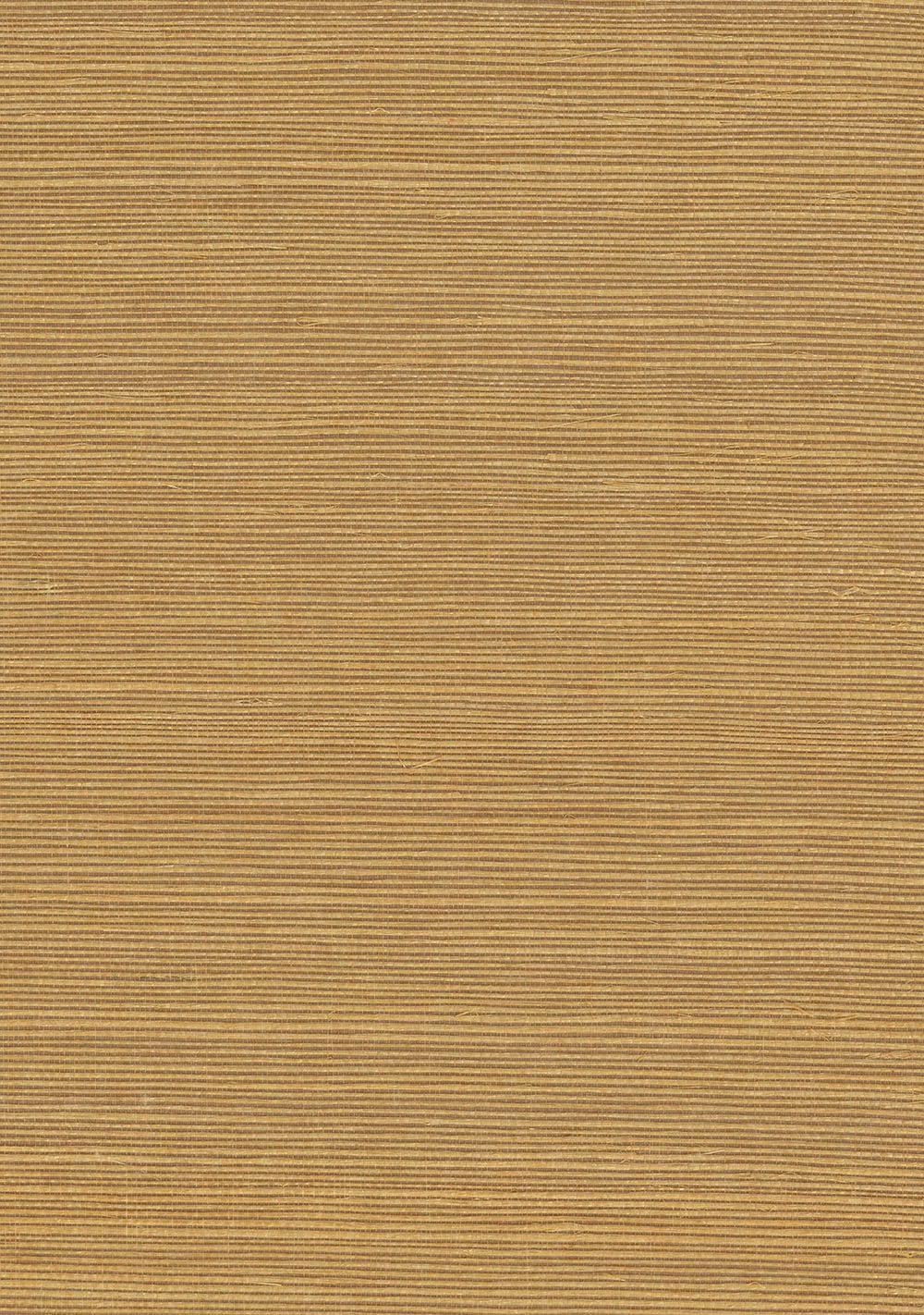 N158NS1198