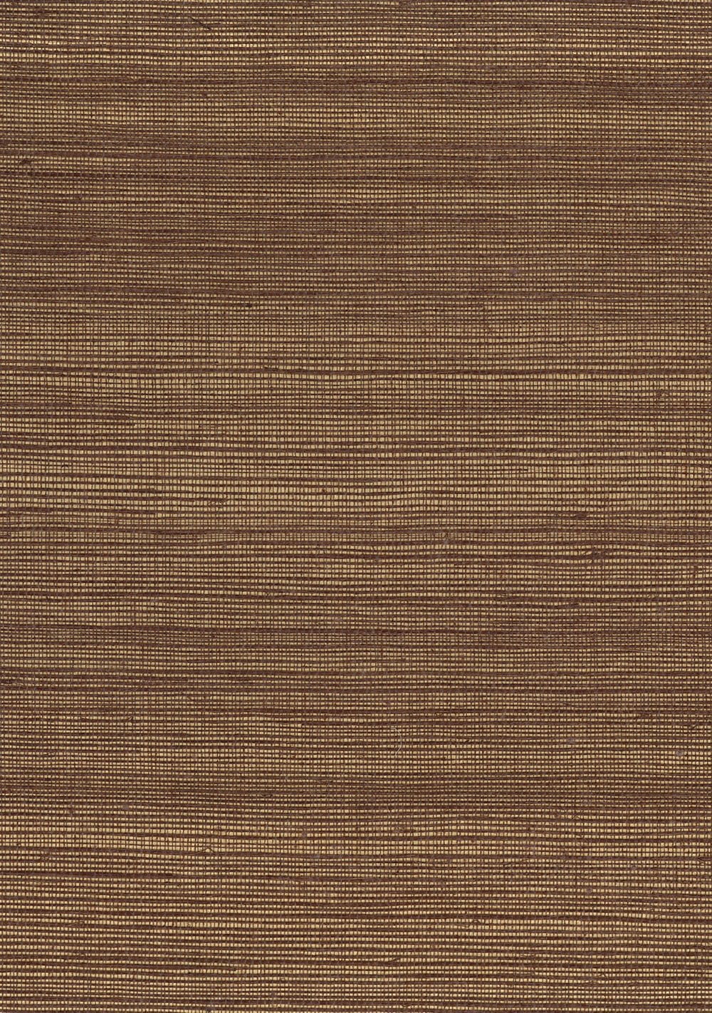 N158NS2031