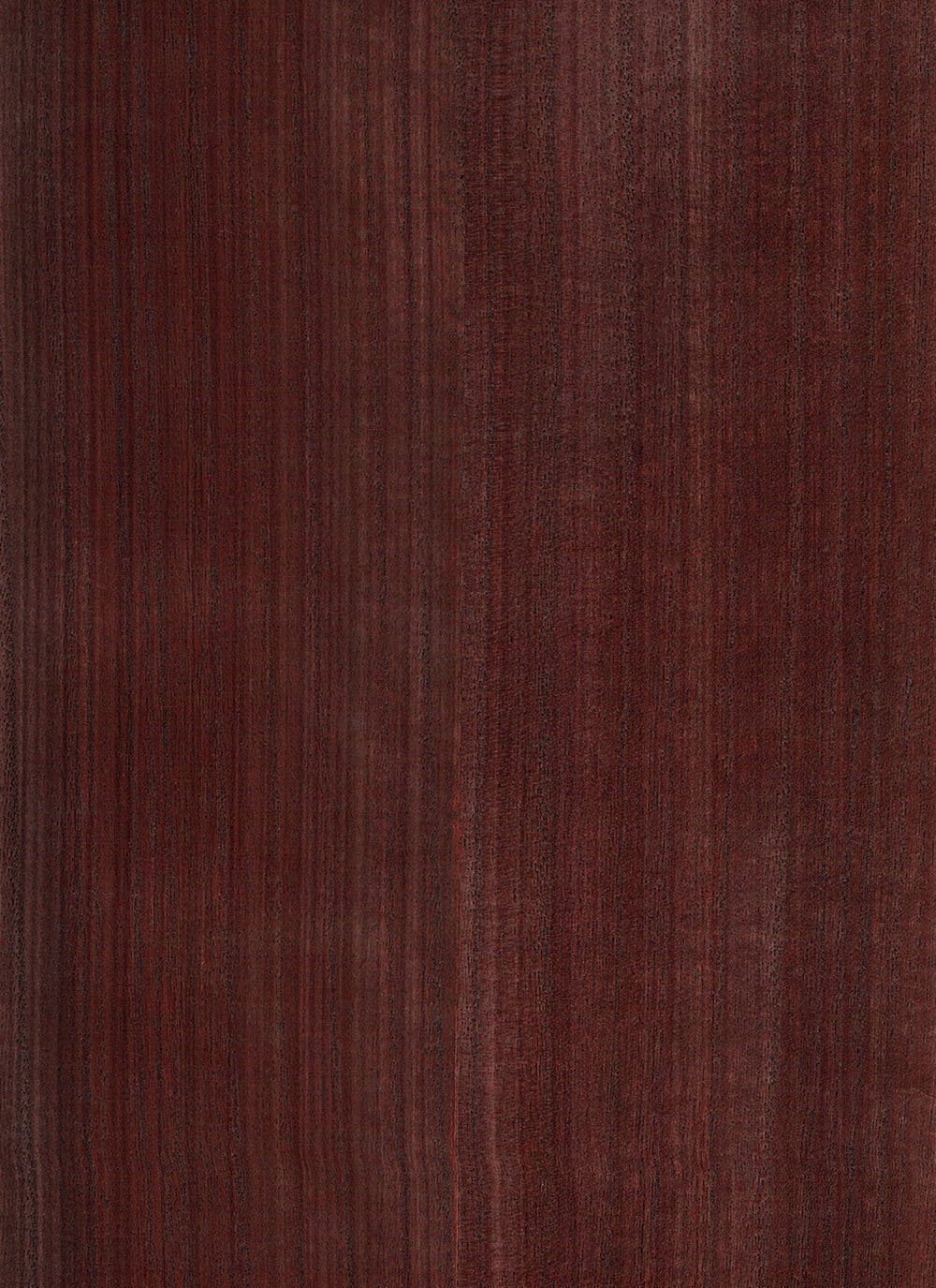 N158NV1019