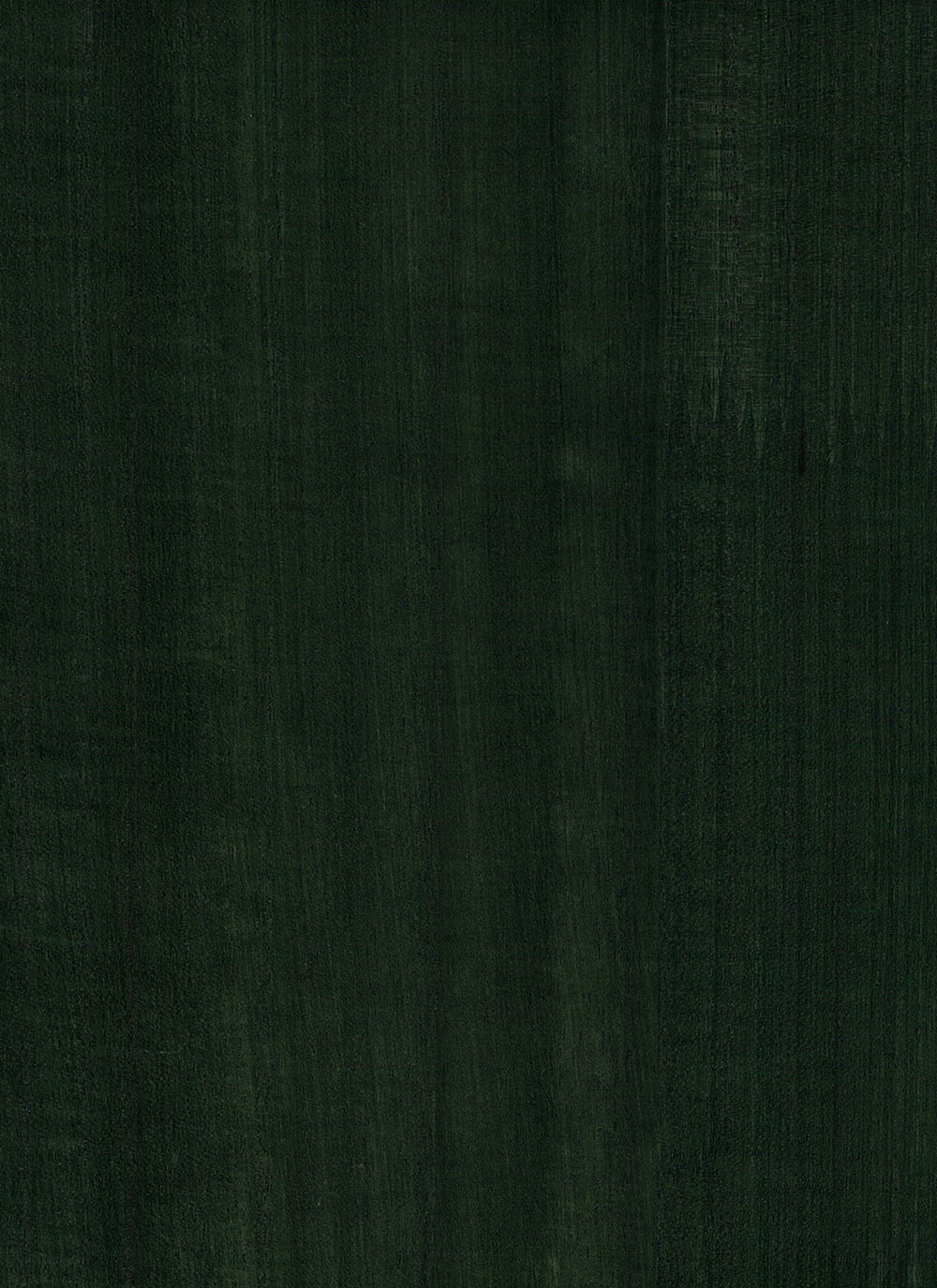 N158NV1021