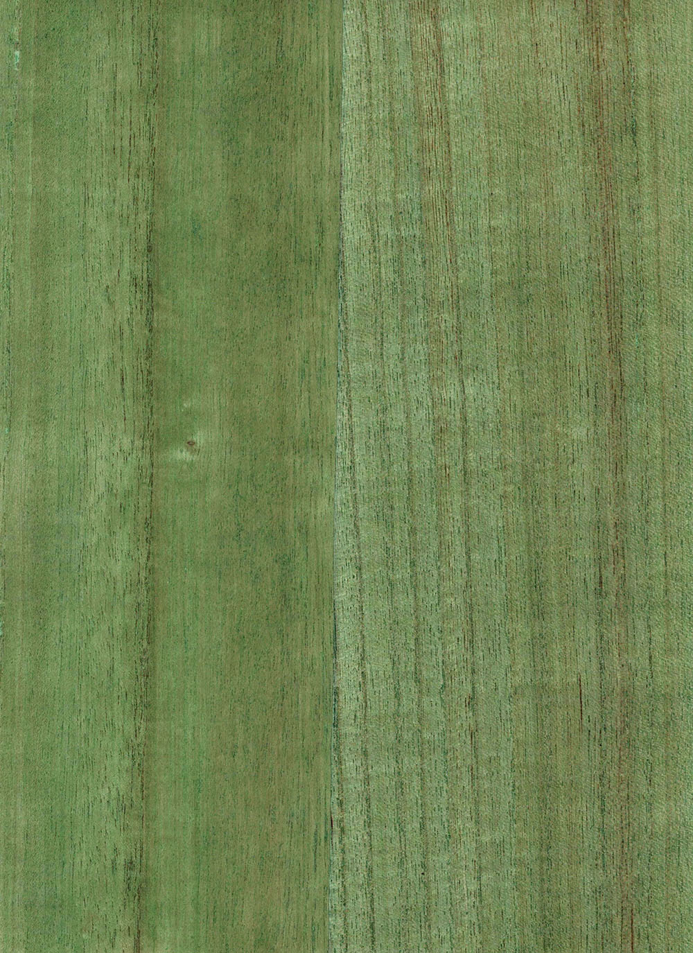 N158NV1024