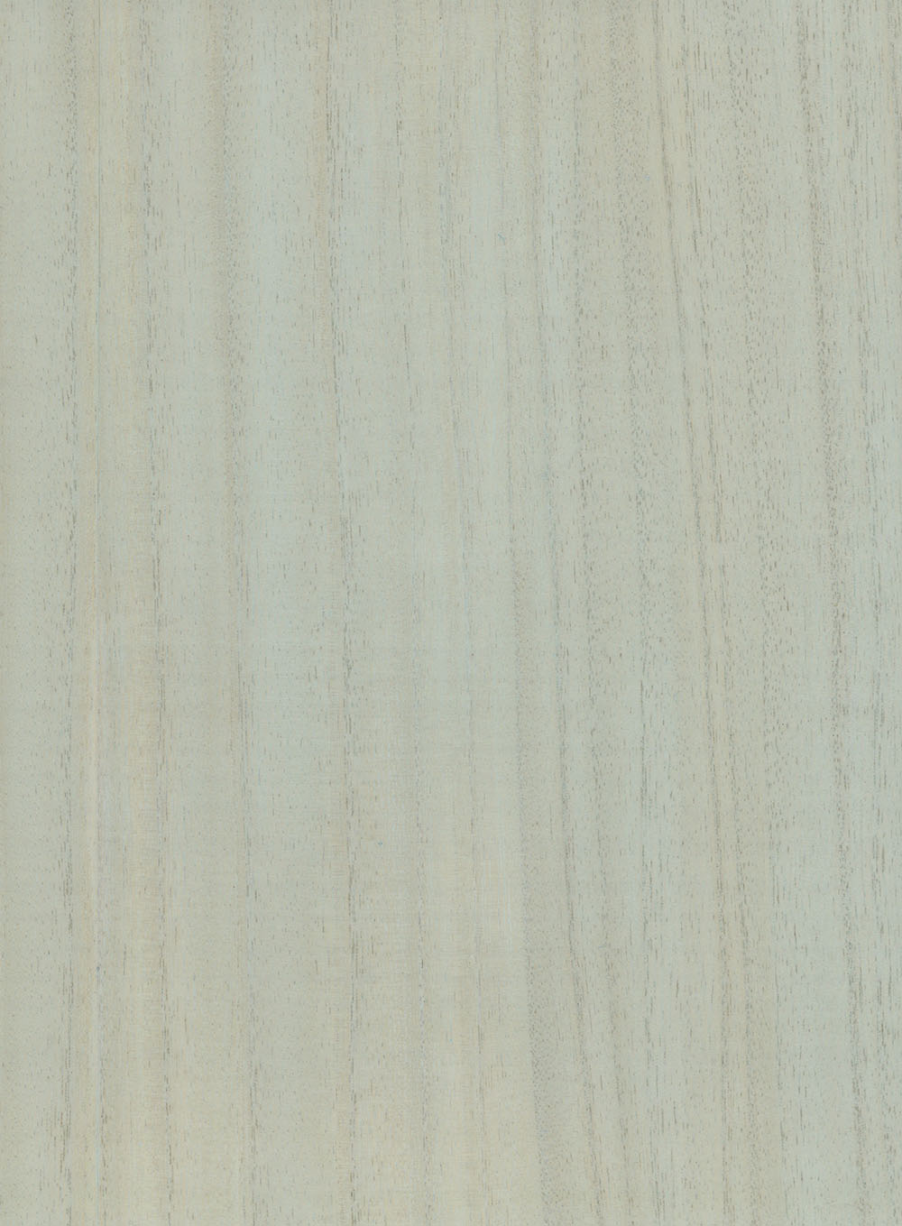 N158NV1029