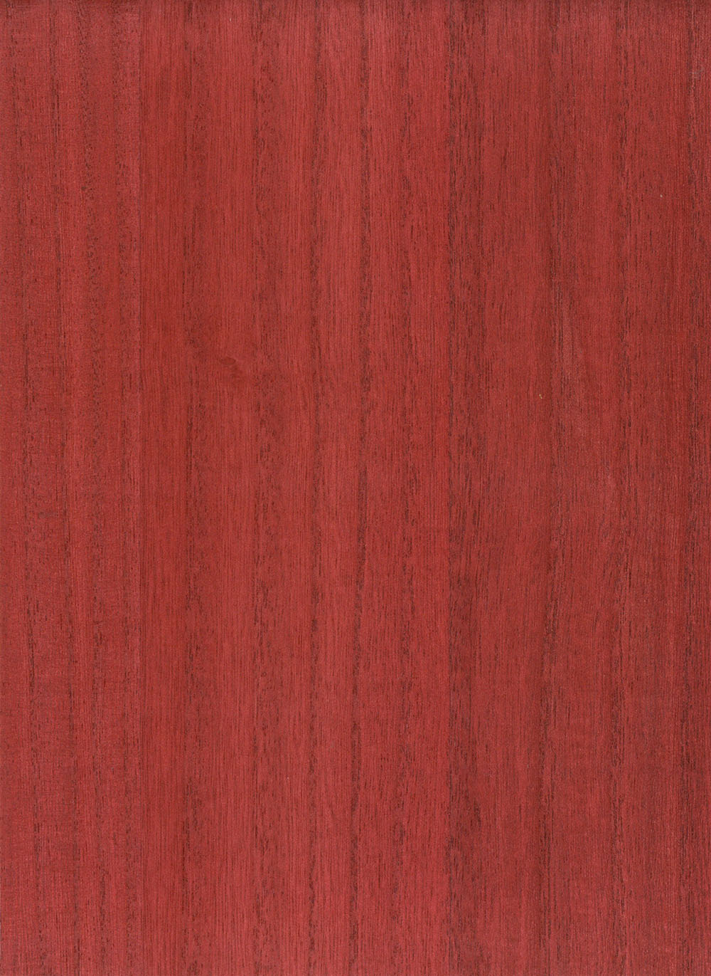 N158NV1037
