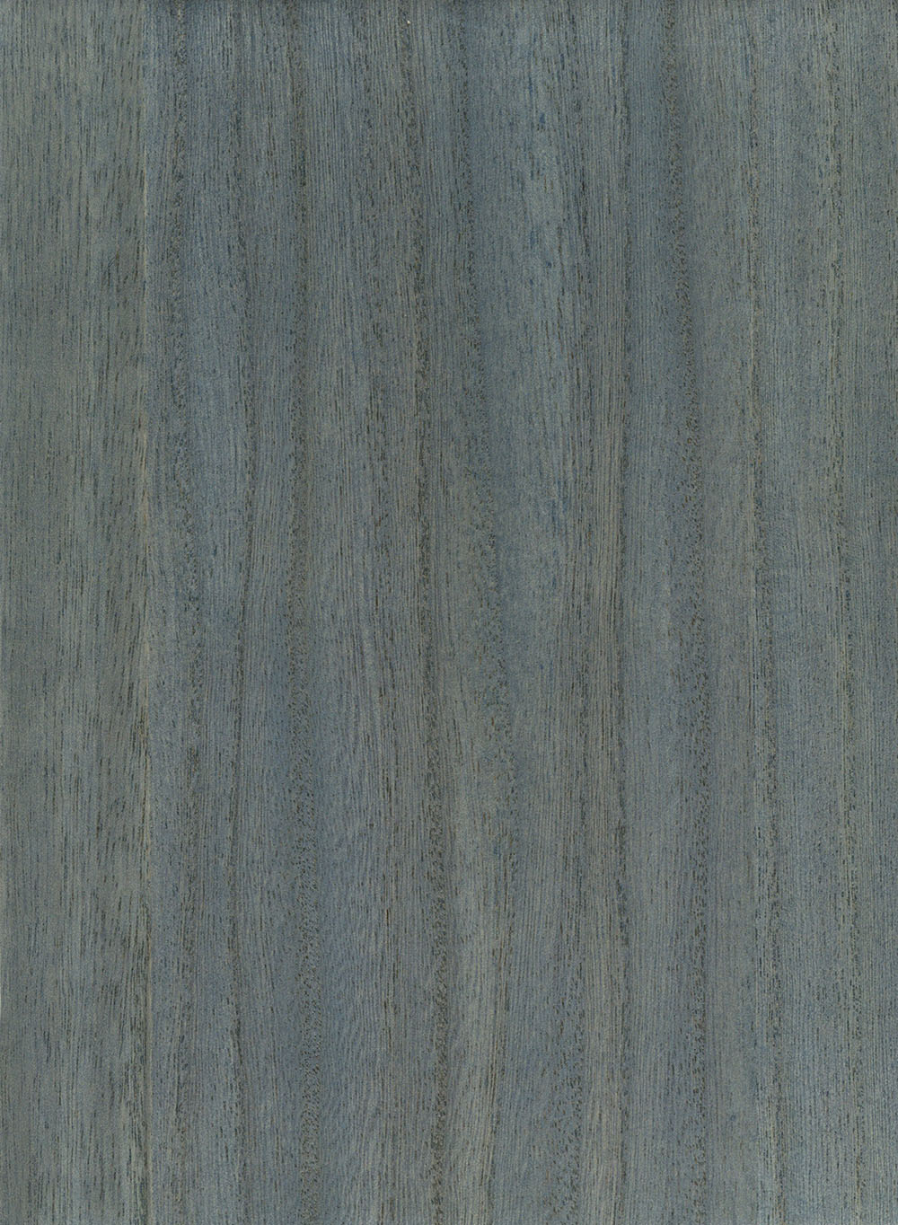 N158NV1038