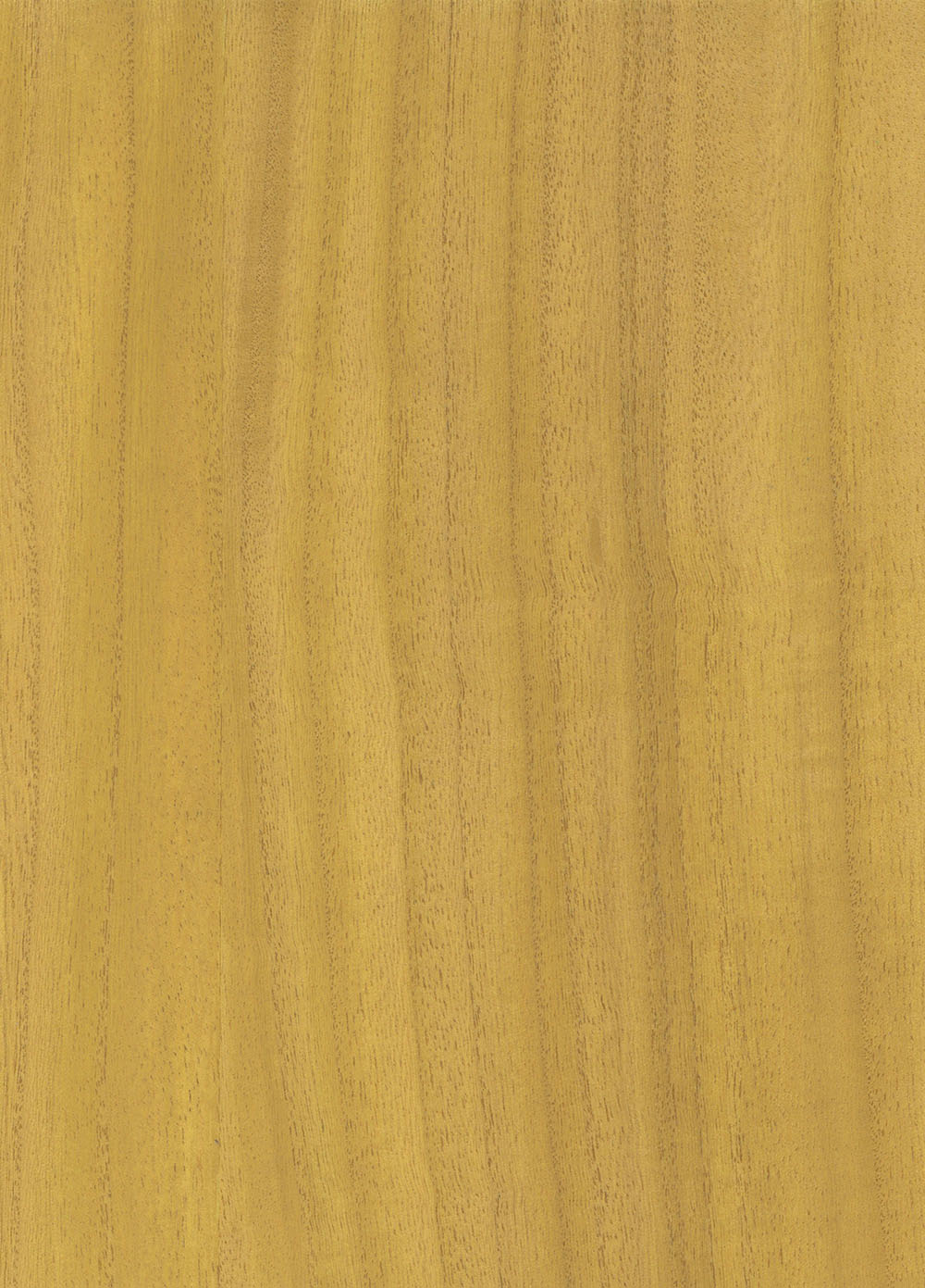 N158NV1041
