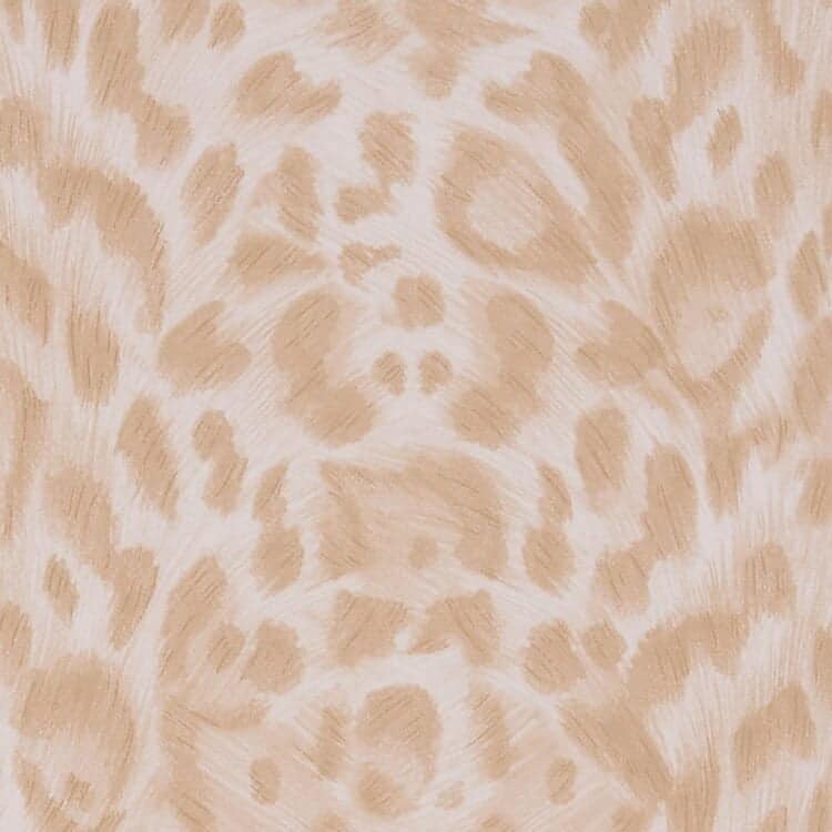 Wilderie - Felis