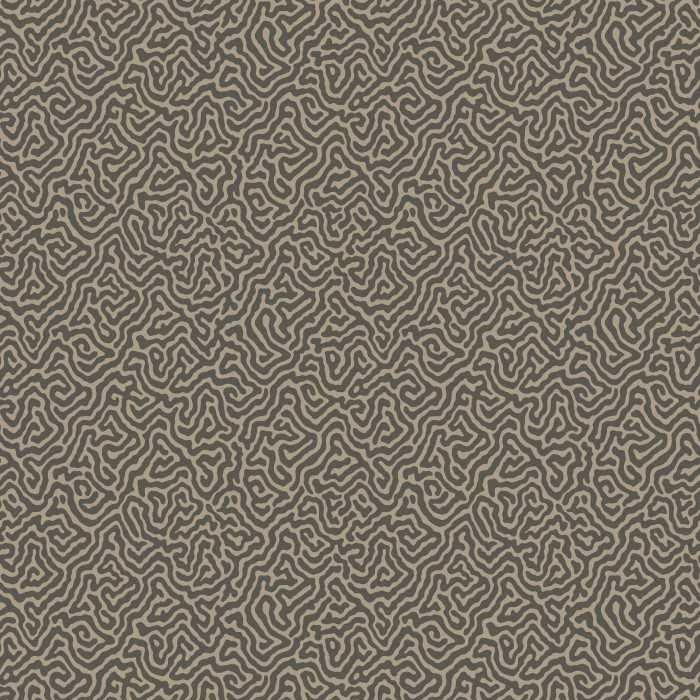 107/4017