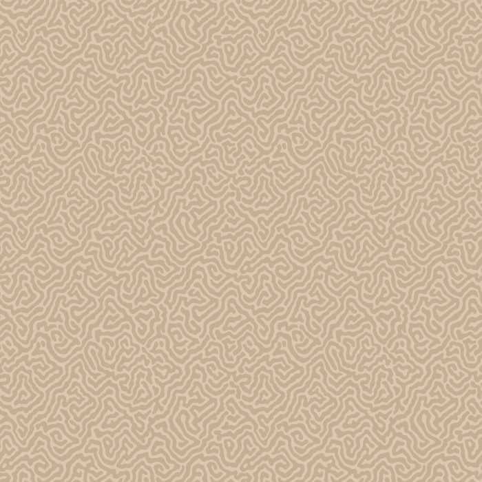 107/4019