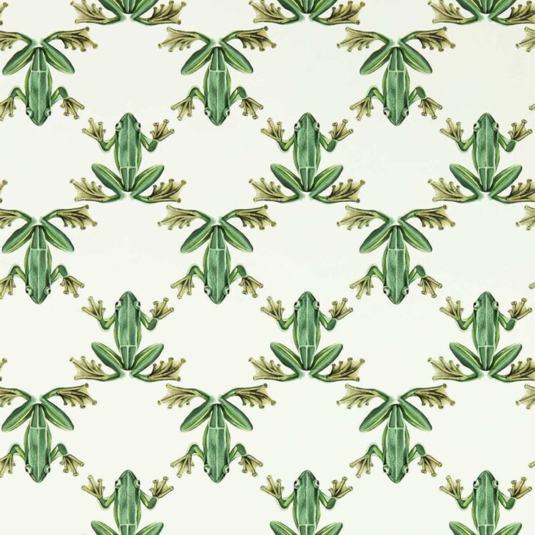 Harlequin Colour 4 Wallpapers Wood Frog