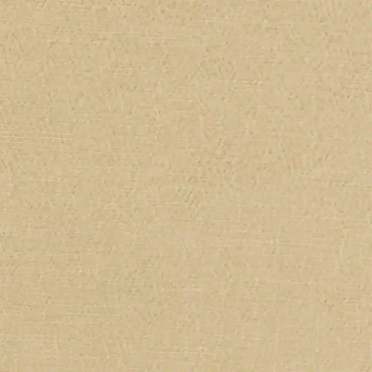 Anshu - Parchment