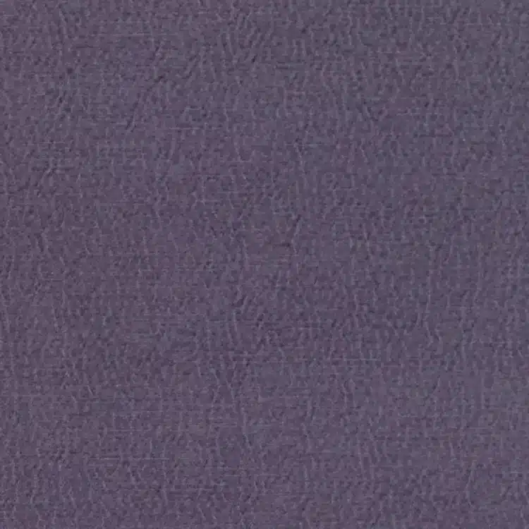 Anshu - Grape
