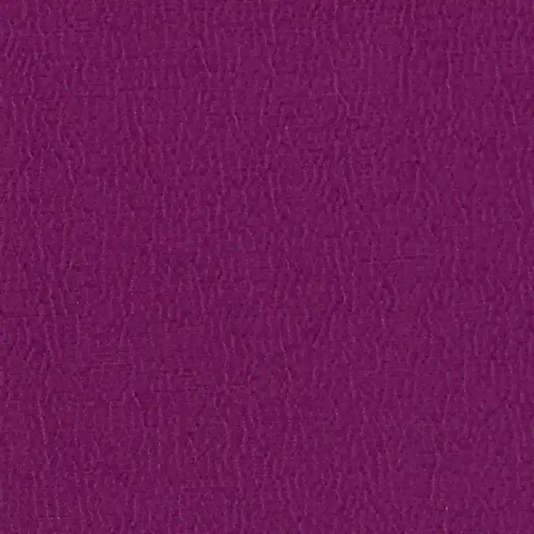 Anshu - Magenta