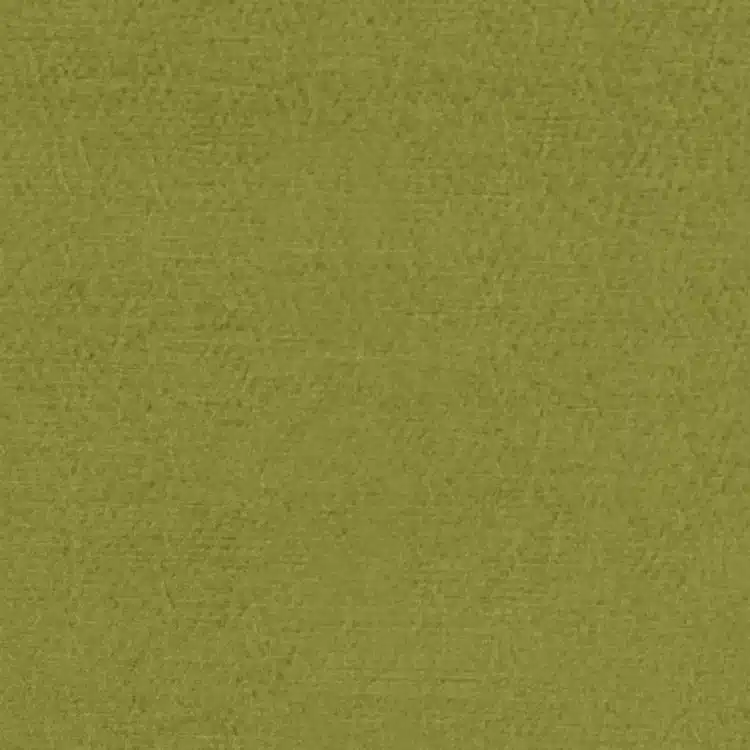 Anshu - Lime - Image 2