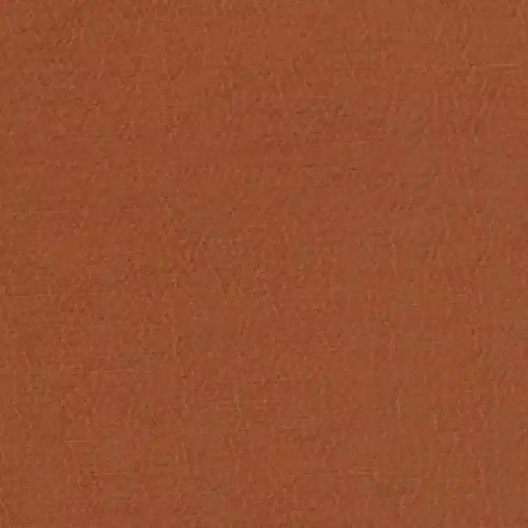 Anshu - Terracotta