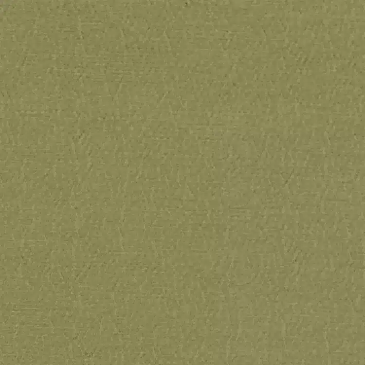 Anshu - Pistachio