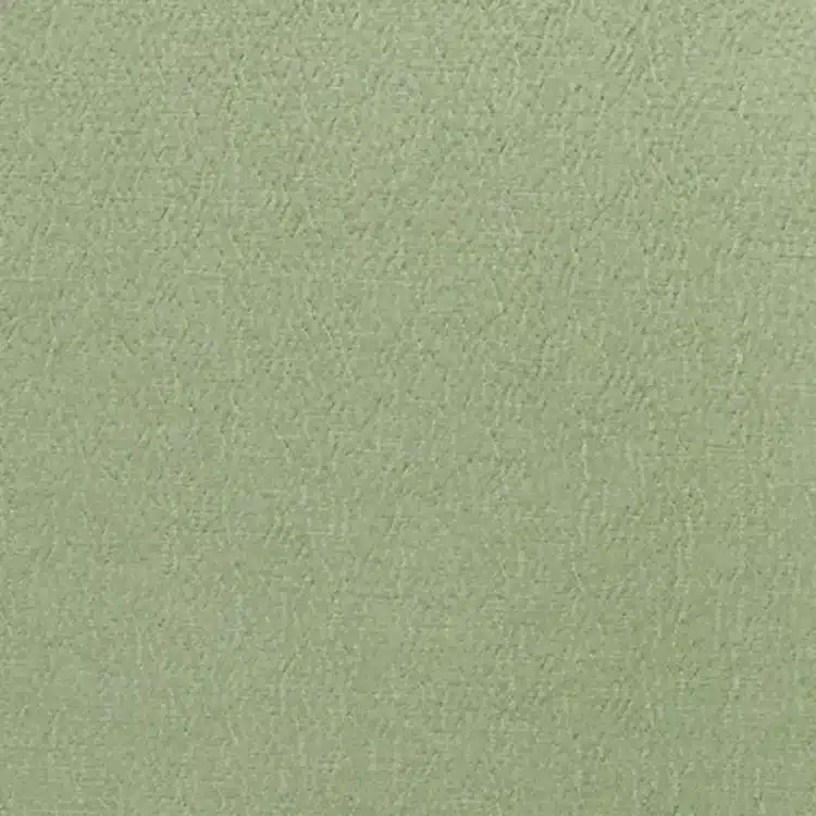 Anshu - Jade
