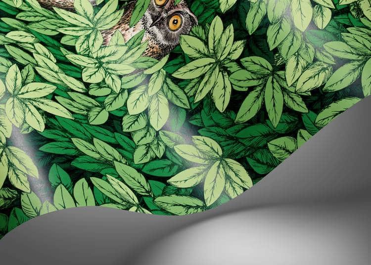Fornasetti Senza Tempo II - Foglie e Civette - Image 4