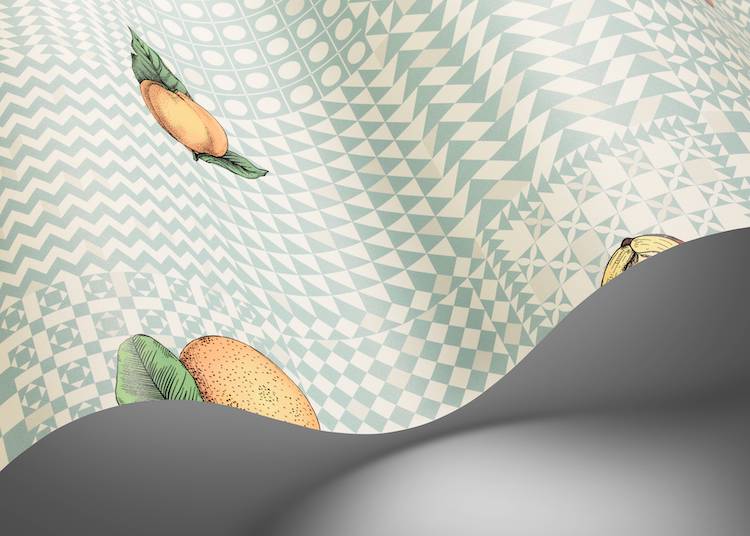 Fornasetti Senza Tempo II - Frutta e Geometrico - Afbeelding 6