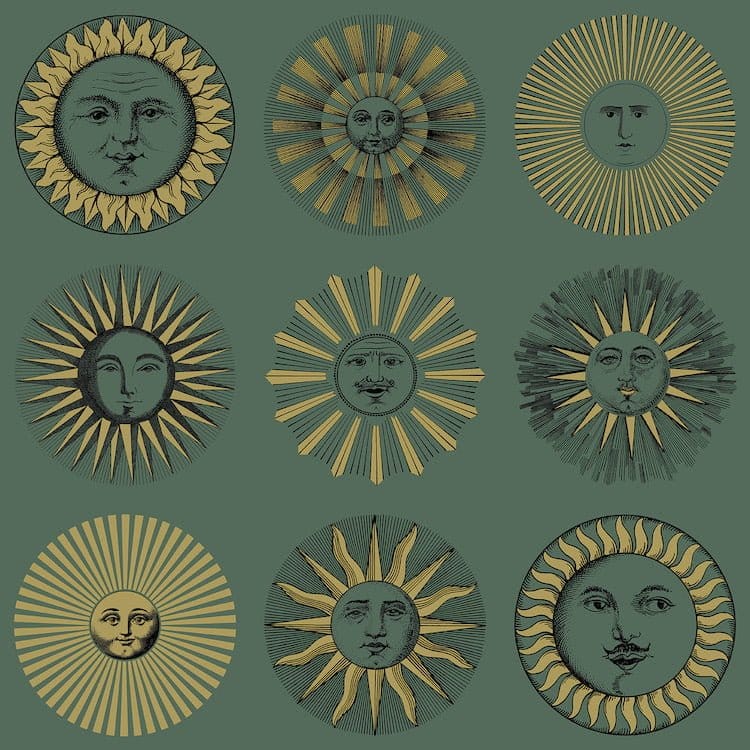 123/1005