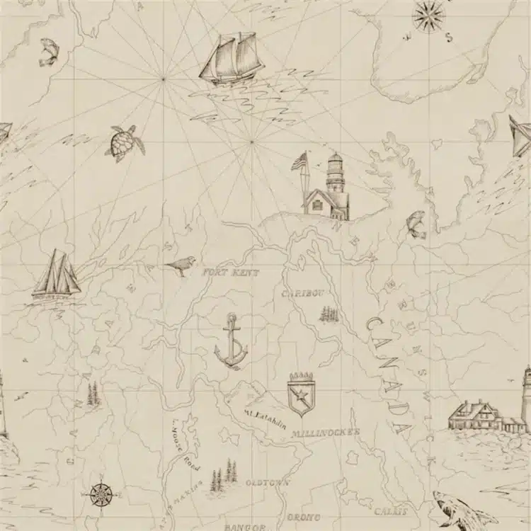 Coastal Papers - Shipping Lanes Map