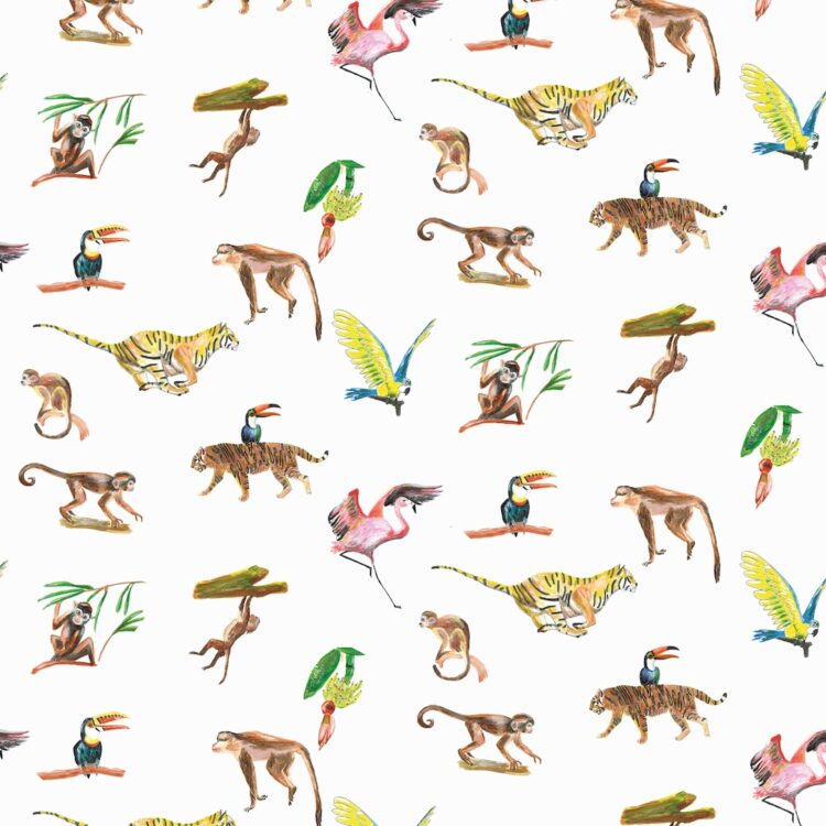 Exquisite & Eclectic - Colourful Wildlife