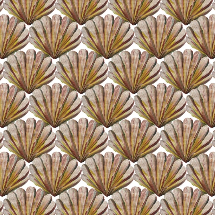 Exquisite & Eclectic - Vintage Sea Shell