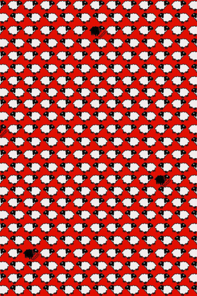 Enriquezland - Pecorelle