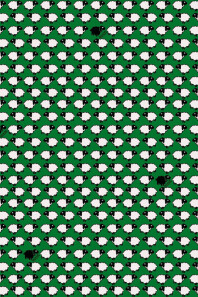 Enriquezland - Pecorelle - Afbeelding 3